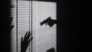 gun shadow 1